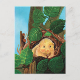 Hazelnoot Briefkaart