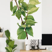 Hazelnoot (Corylus rostrata) (1932) van Mary Poster (Thuiskantoor)