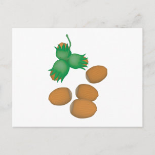 hazelnoten briefkaart