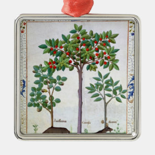 Hazelnoten Struik en Cherry tree Metalen Ornament