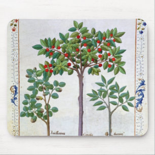 Hazelnoten Struik en Cherry tree Muismat