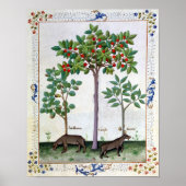 Hazelnoten Struik en Cherry tree Poster (Voorkant)