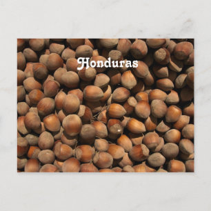 Hazelnuts Briefkaart