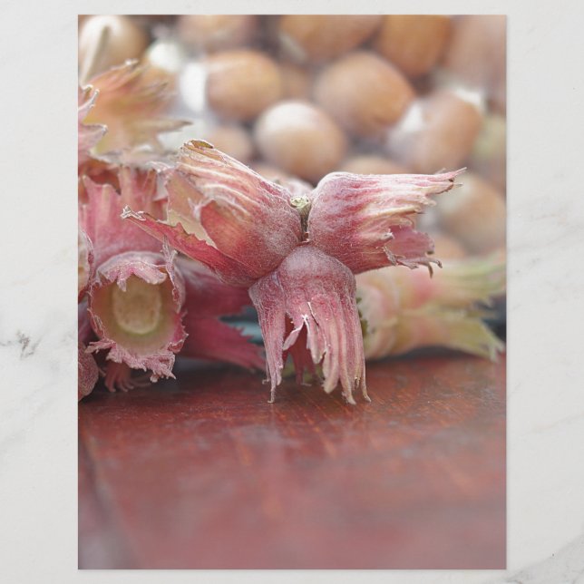 Hazelnuts.JPG (Voorkant)