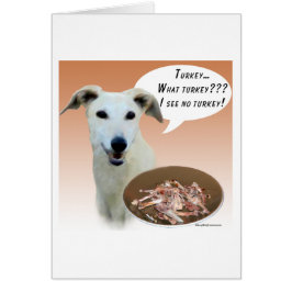 hazewindhond Turkije