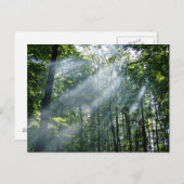 Hazy Tranquability Briefkaart (Voorkant / Achterkant)