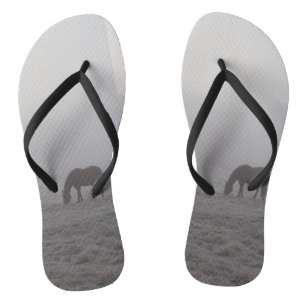 Hazzy Grazing Teenslippers