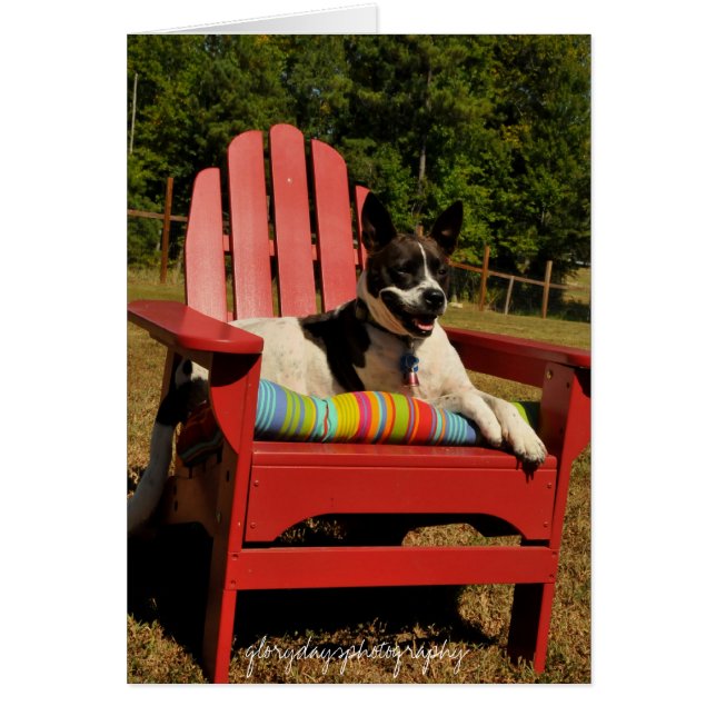 HCD_4301, glorydaysphotography (Devant)