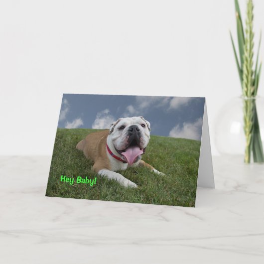 Hé bébé !  Carte d'anniversaire de bouledogue (Devant)