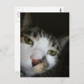 Hé! Briefkaart (Voorkant / Achterkant)