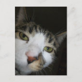 Hé! Briefkaart (Voorkant)