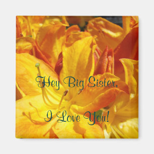 Hé, grande sœur, je t'aime ! aimants cadeaux Rhodi