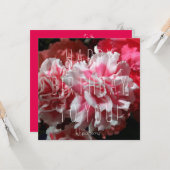 Hé, jolie fille ! Carte d'anniversaire (Devant/Arrière en situation)