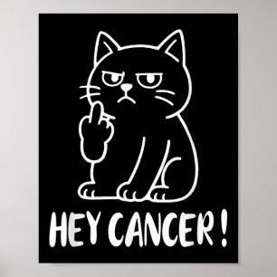 Hé Kanker F U Grappige Meme Kat Middelvinger Fck C Poster