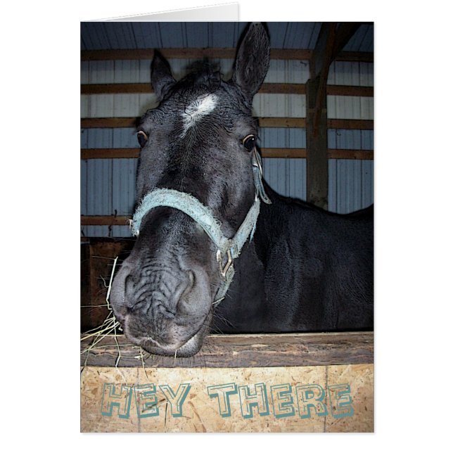 Hé là cardez (Devant)