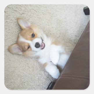 Hé, meid vierkante sticker