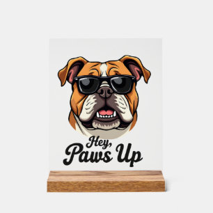 Hé Paws Up Bulldog Vintage avec Lunettes de Soleil