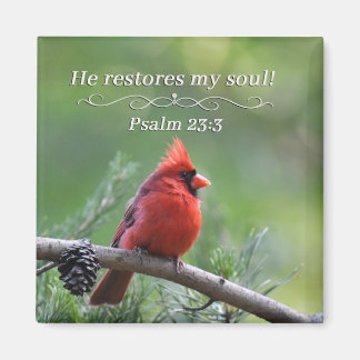 He restores my soul magneet