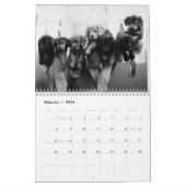 Hé ! Vous Avez Un Chien Ici ! Calendrier 2022 (Feb 2026)