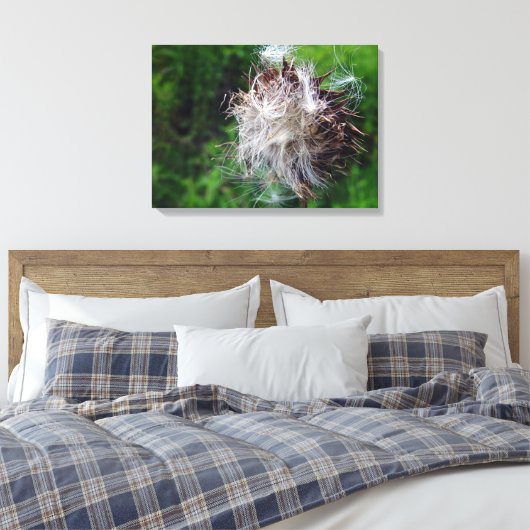Head Of Bull Thistle  Canvas Afdruk (Insitu (Slaapkamer))