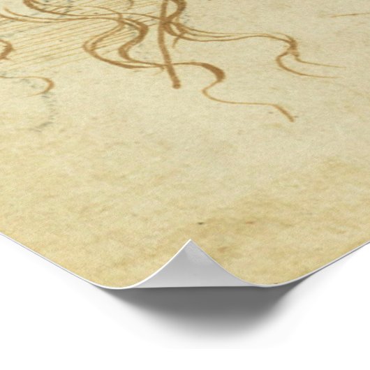 Head of Leda Da Vinci Poster (Hoek)