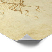 Head of Leda Da Vinci Poster (Hoek)