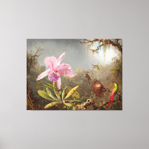 HEADE  Cattleya Orchidee en drie kolibries (1871) Canvas Afdruk