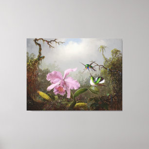 HEADE Cattleya Orchidee met Braziliaanse kolibries Canvas Afdruk