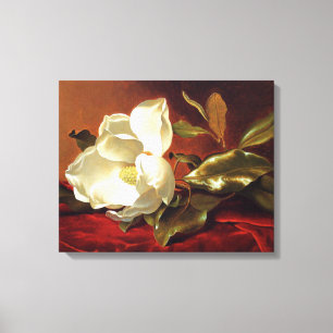 Heade - Een Magnolia op Rode Fluwelen Canvas Afdruk