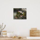 Heade - Hummingbird en appel bloesems Poster (Keuken)