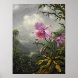 Heade - Hummingbird op het orchidee Plant Poster