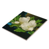 Heade Magnolia Flower Blosbezems Ceramic Tile Tegeltje (Zijkant)