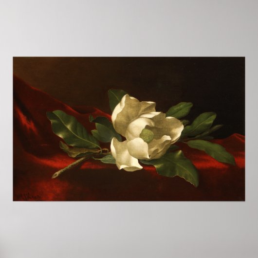 Heade - Magnolia Poster (Voorkant)