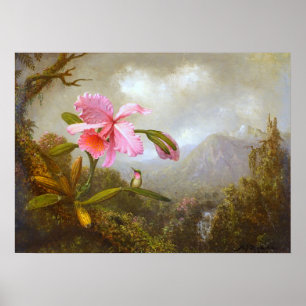 Heade - orchidee en levende vogel nabij een waterv poster