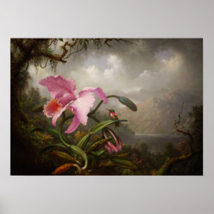 Heade - orchidee en levende vogel poster