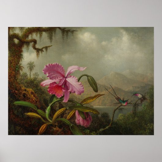 Heade - orchideeën en levende vogels 1875 poster (Voorkant)