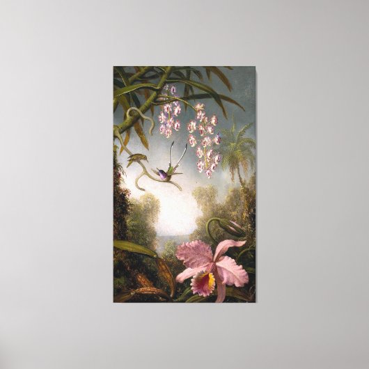 HEADE - Orchideeën en Spray Orchids met Humminbird Canvas Afdruk (Voorkant)