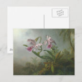 Heade - Twee Orchideeën en een Humming Bird Briefkaart (Voorkant / Achterkant)