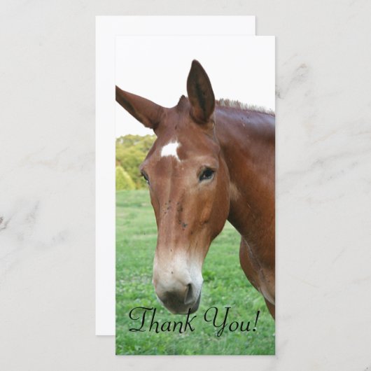 Headshot van een Rather Refined Mule Bedankkaart (Voorkant / Achterkant)