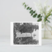 Headstone of Wild Bill Hickock's Grave Photograp Briefkaart (Staand voorkant)