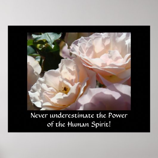 Healing Onderschat nooit de kracht van de Poster (Voorkant)