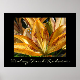 Healing Touch Kindness art prints Oranje Lily