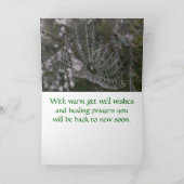 Healing Web Kaart (Binnen)