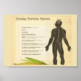 Healthy Nervous System Poster