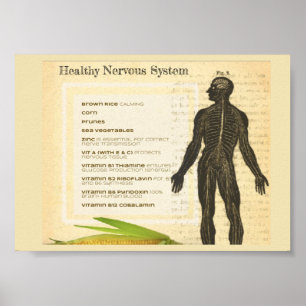 Healthy Nervous System Poster