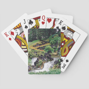 Healwater Speelkaarten