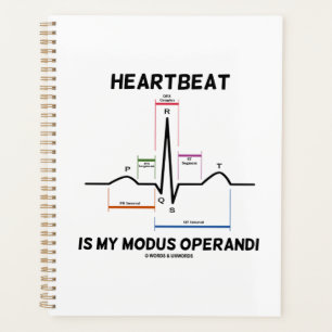 Hearbeat Est Mon Modus Operandi Electrocardiogramm
