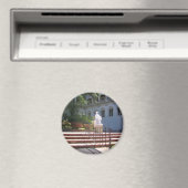 Hearst Castle, San Simeon, Californië Magneet (Insitu (Vaatwasser))