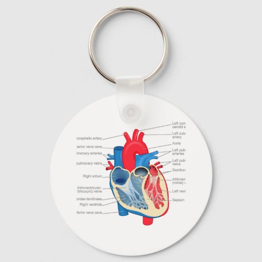 Heart_Anatomie Sleutelhanger (Voorkant)