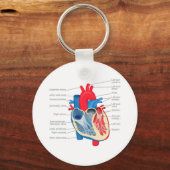 Heart_Anatomie Sleutelhanger (Voorkant)
